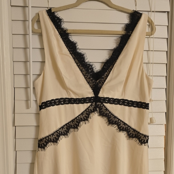 Anthropologie Cream and Black Sleeveless Midi Dress - Picture 3 of 13